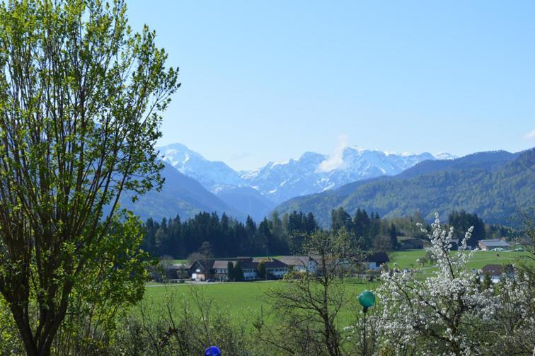 Pension Schindlau Scharnstein Exteriör bild
