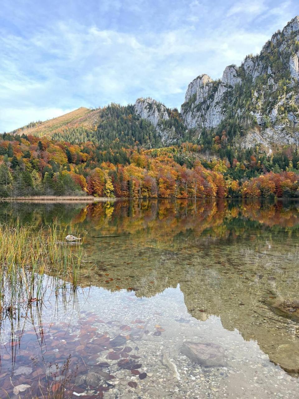 Pension Schindlau Scharnstein Exteriör bild